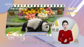 午夜视频免费